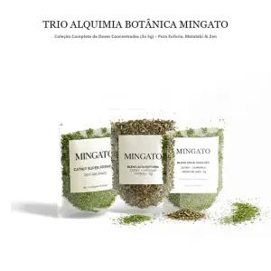 Trio Alquimia Botânica Felina (Coleção com as 3 Doses de 5g) — Graminha de Gato 100% Hidropônica em Vasinho 3D Mingato